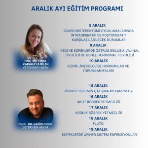 2025 ARALIK AYI EĞİTİMLERİ İNDİRİMLİ PAKET