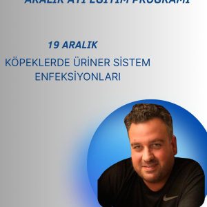 KÖPEKLERDE ÜRİNER SİSTEM ENFEKSİYONLARI (19 ARALIK 2025)