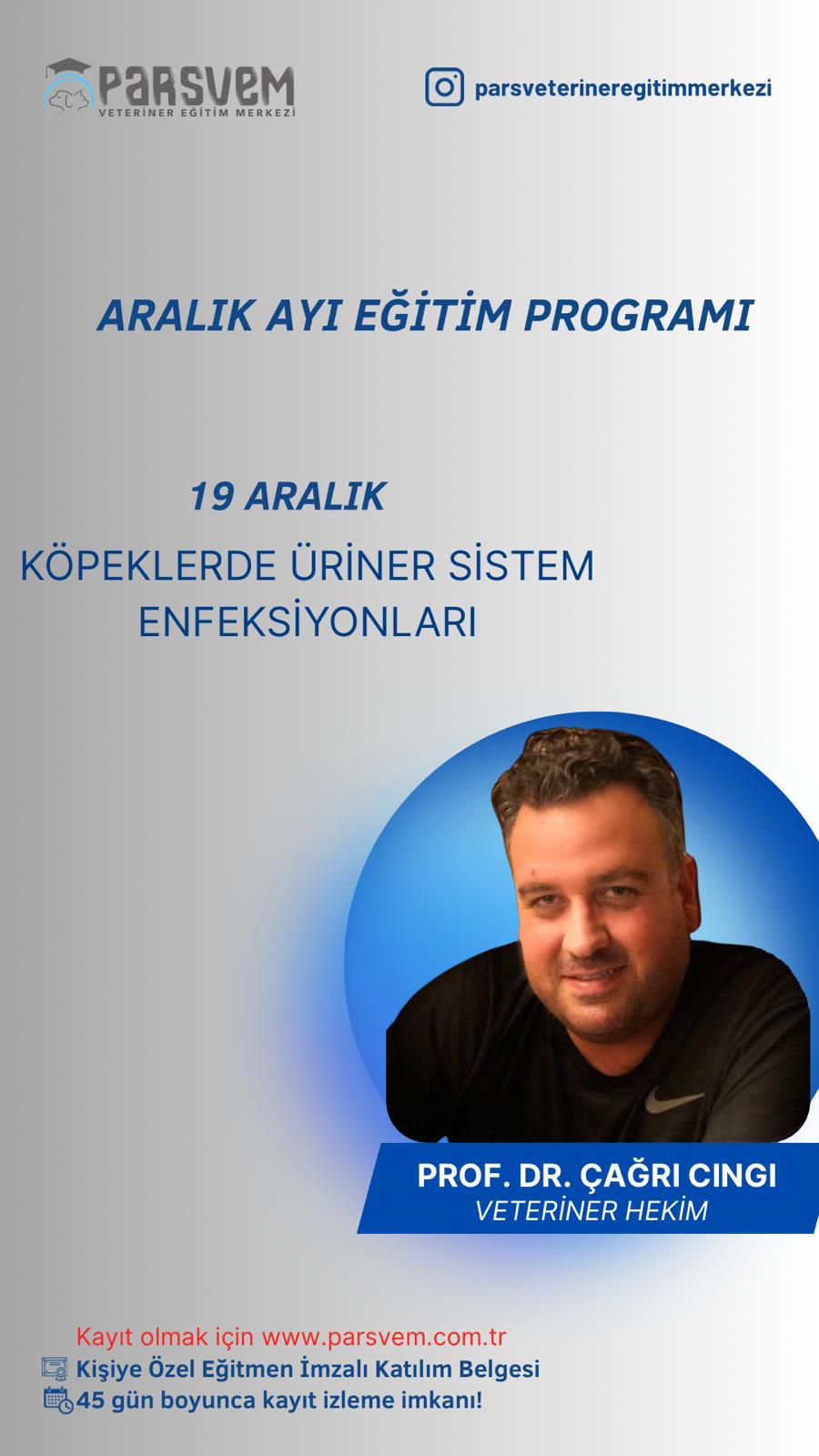 WhatsApp Image 2025-11-30 at 13.51.46